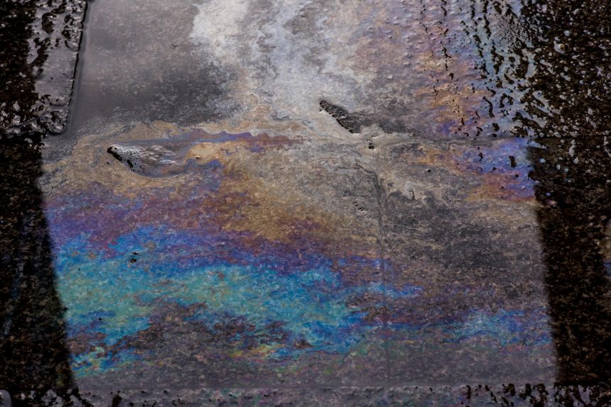 Umwelthaft und Umweltschaden